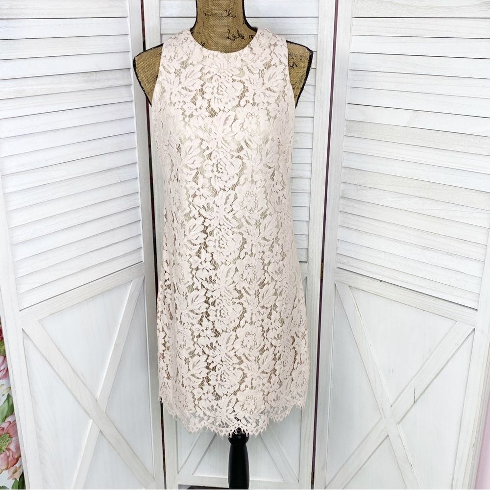 Vince Camuto Floral Lace Open Back Halter Shift Party‎ Dress Blush Pink 4